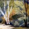 Title: Fractured Forest
Media: Watercolor
Size: 16x20
Artist: Eleanor Shaw